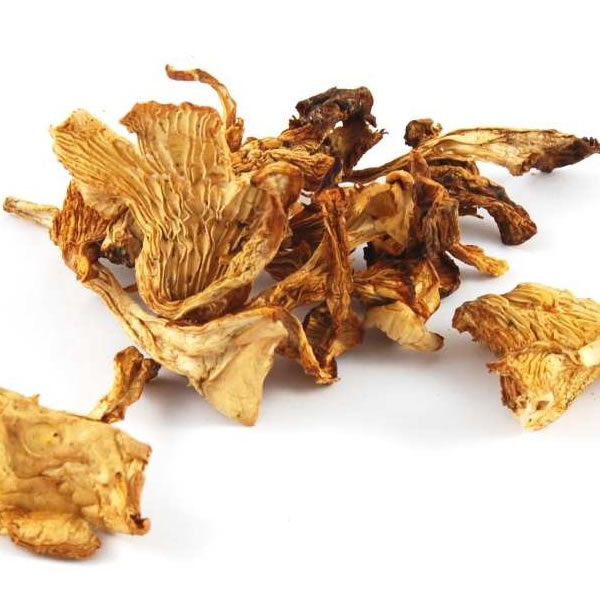 Girolles séchées - 454g/1lb