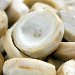 Fond d'artichauts - 1 kg/2,2 lb