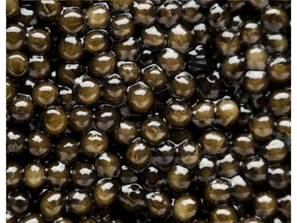 Caviar STURIA Oscietre Oscietra - 15g/0.53oz - Image 2