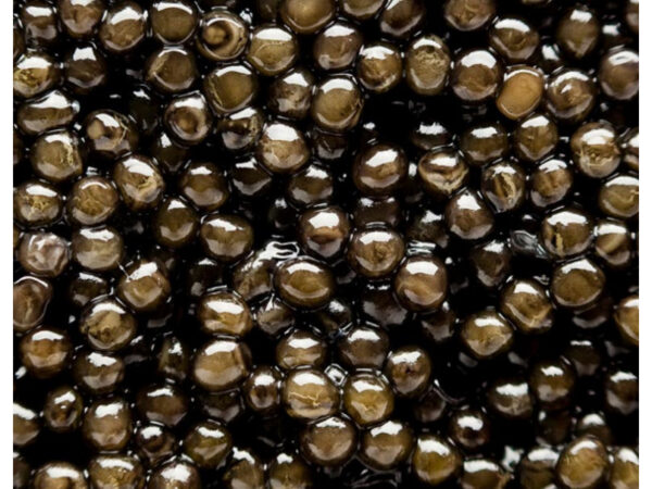 Caviar STURIA Baerii Primeur with mother of pearl spoon - 100g/3.53oz – Image 2