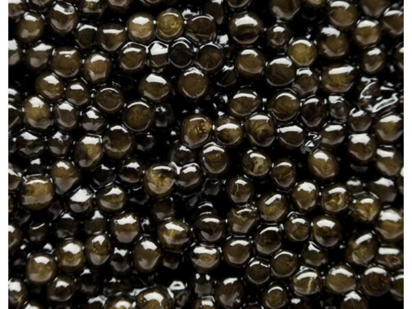 Caviar STURIA Baerii Vintage with mother of pearl spoon - 100g/3.53oz – Image 2